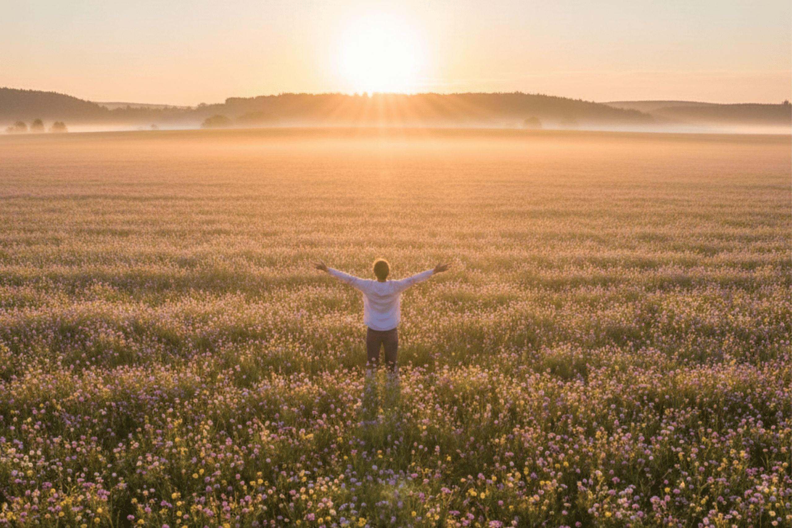 Gratidão: Cultivando um Coração Agradecido todos os Dias